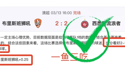 国足主场迎战澳大利亚，28800元VIP包厢一小时内抢购一空，购票热潮席卷！